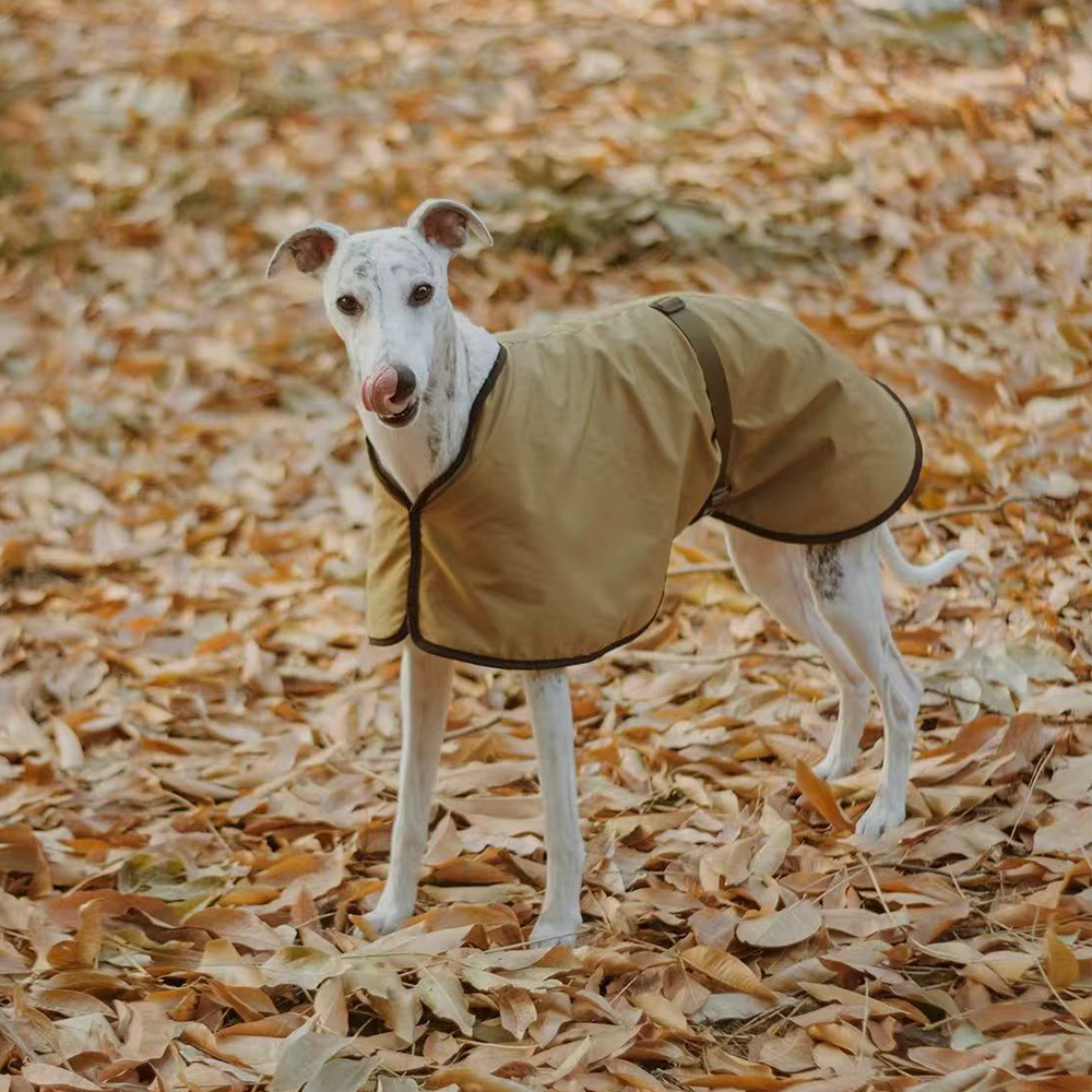 Winter Clothing For Dogs - Winter Windproof Lamb Wool Inside Jacket