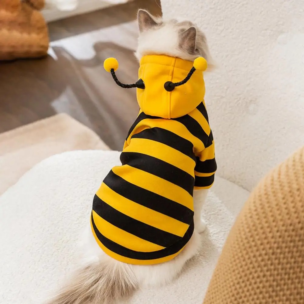 Pet Cats Clothes Kitten Stuff  – Winter Clothing For Dogs Bewertung und Preis