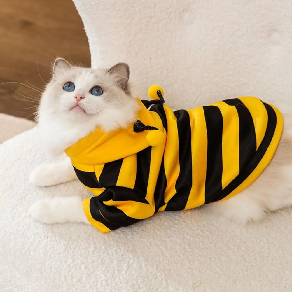 Pet Cats Clothes Kitten Stuff  – Winter Clothing For Dogs Bewertung und Preis