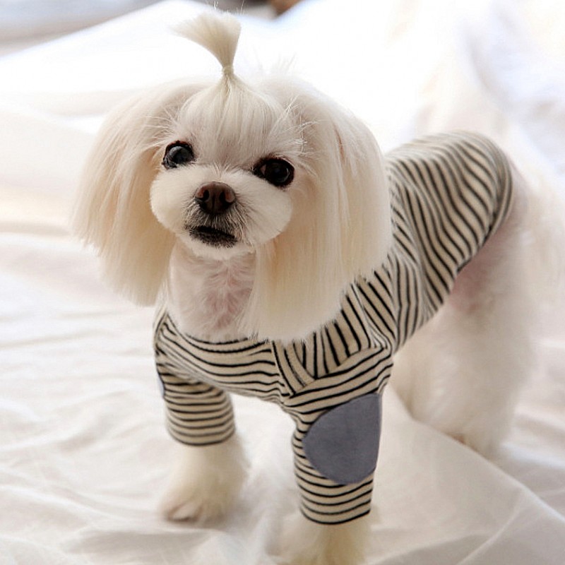 Thin Pet Dog Hoodies Fleece Do – Winter Clothing For Dogs Bewertung und Preis