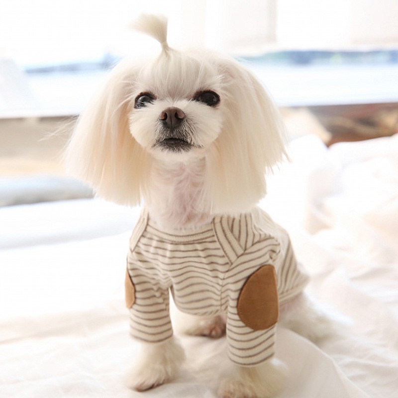 Thin Pet Dog Hoodies Fleece Do – Winter Clothing For Dogs Bewertung und Preis