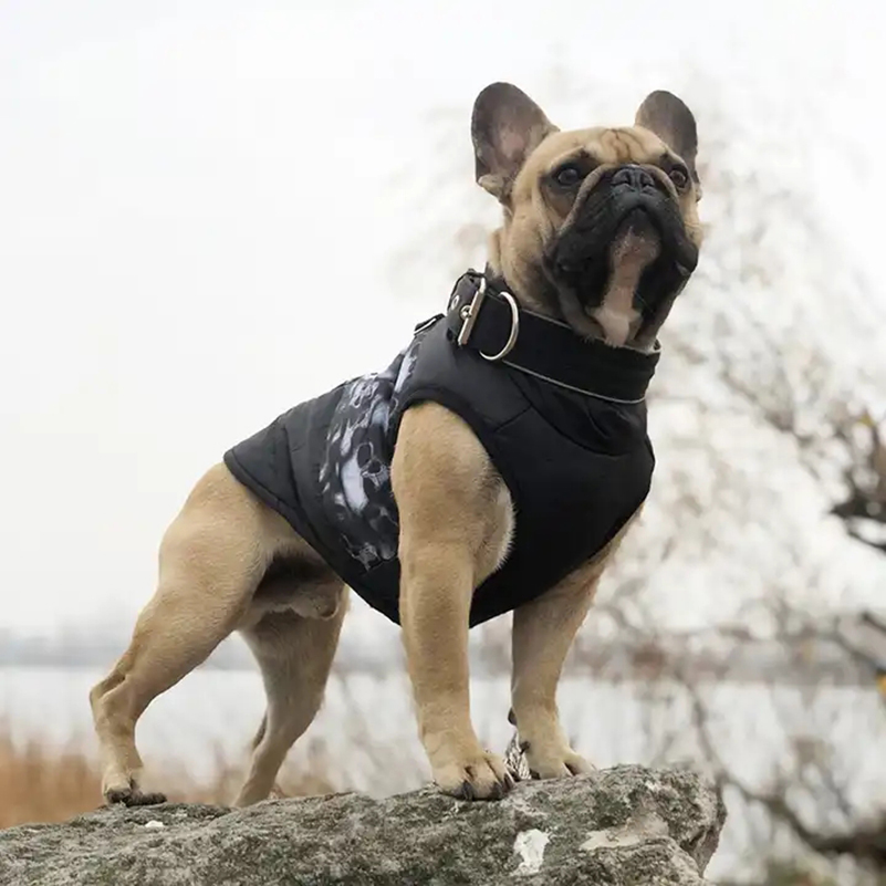 Winter Pet Warm Windproof Jack – Winter Clothing For Dogs Bewertung und Preis