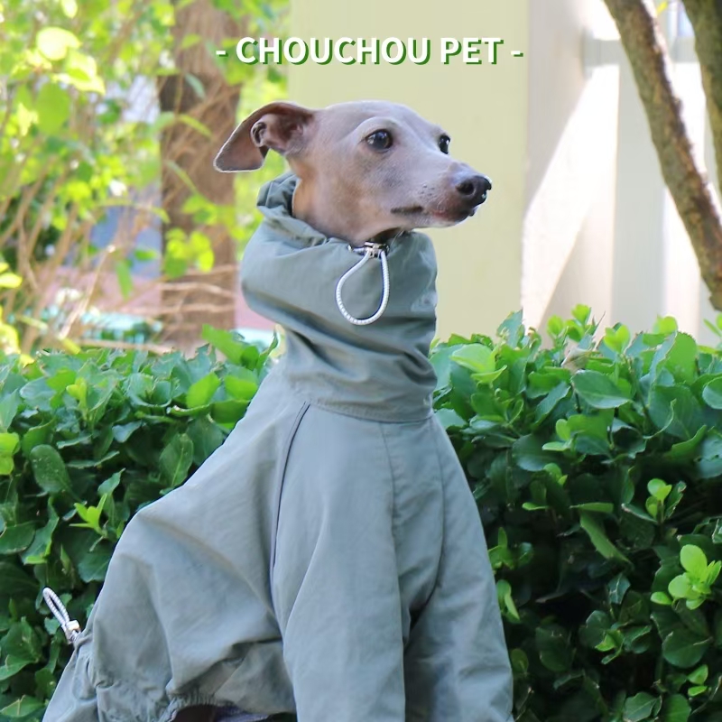 Italian Greyhound Raincoat Aut – Winter Clothing For Dogs Bewertung und Preis