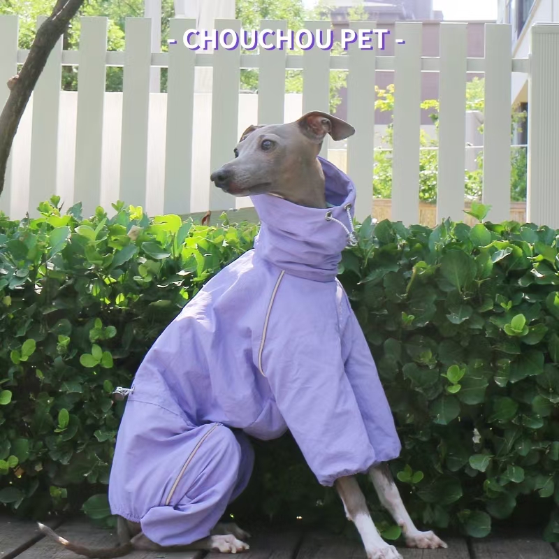 Italian Greyhound Raincoat Aut – Winter Clothing For Dogs Bewertung und Preis
