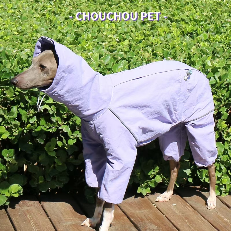 Italian Greyhound Raincoat Aut – Winter Clothing For Dogs Bewertung und Preis
