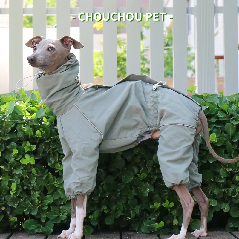 Italian Greyhound Raincoat Aut – Winter Clothing For Dogs Bewertung und Preis