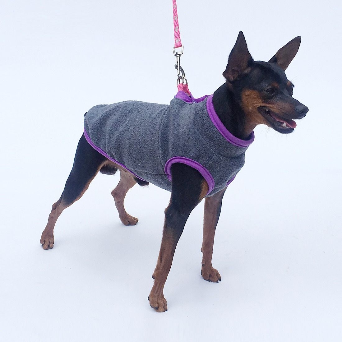 Autumn and winter plus velvet  – Winter Clothing For Dogs Bewertung und Preis