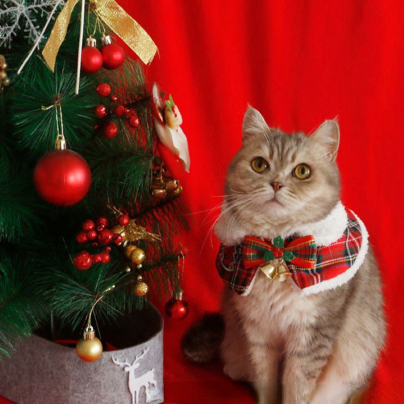 Cat Christmas Cloak Pet New Ye – Winter Clothing For Dogs Bewertung und Preis