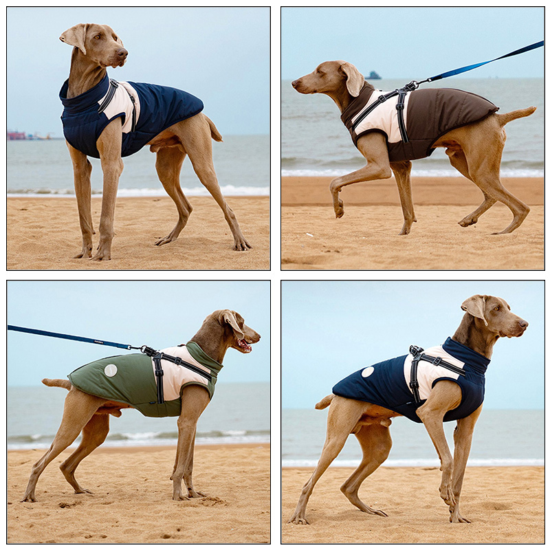 Warm Dog Vest With Built-in Ha – Winter Clothing For Dogs Bewertung und Preis