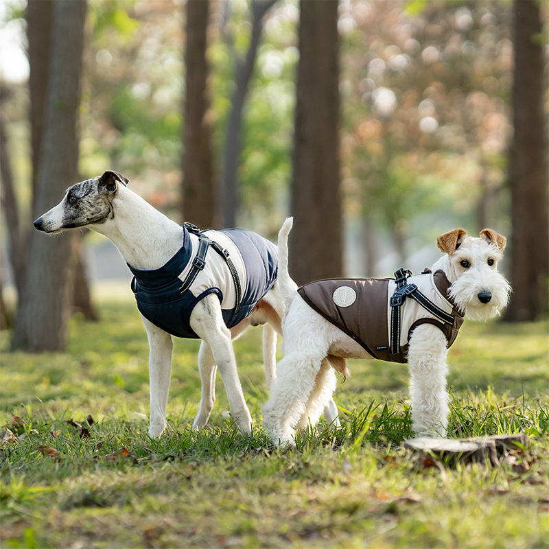 Warm Dog Vest With Built-in Ha – Winter Clothing For Dogs Bewertung und Preis