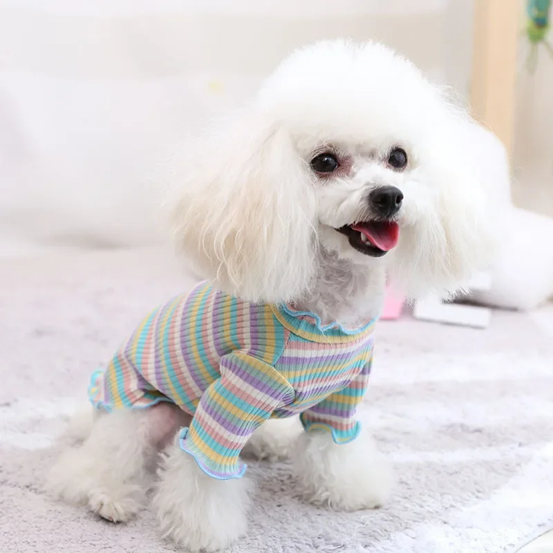 Autumn and Winter Colored Stri – Winter Clothing For Dogs Bewertung und Preis