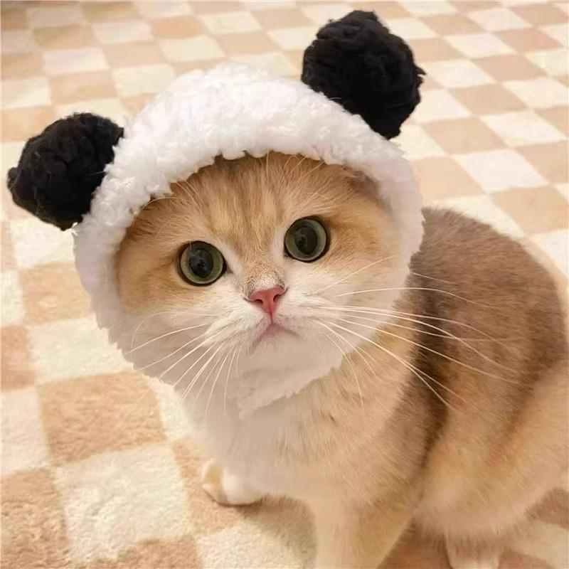Adorable Pet Costume Bear Hat  – Winter Clothing For Dogs Bewertung und Preis