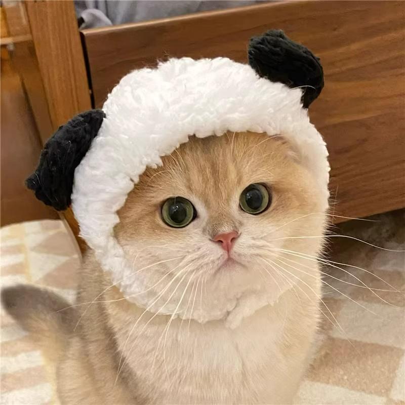 Adorable Pet Costume Bear Hat  – Winter Clothing For Dogs Bewertung und Preis