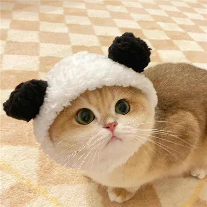 Adorable Pet Costume Bear Hat  – Winter Clothing For Dogs Bewertung und Preis