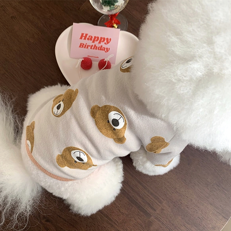 All Over Printed Teddy Bear Pu – Winter Clothing For Dogs Bewertung und Preis