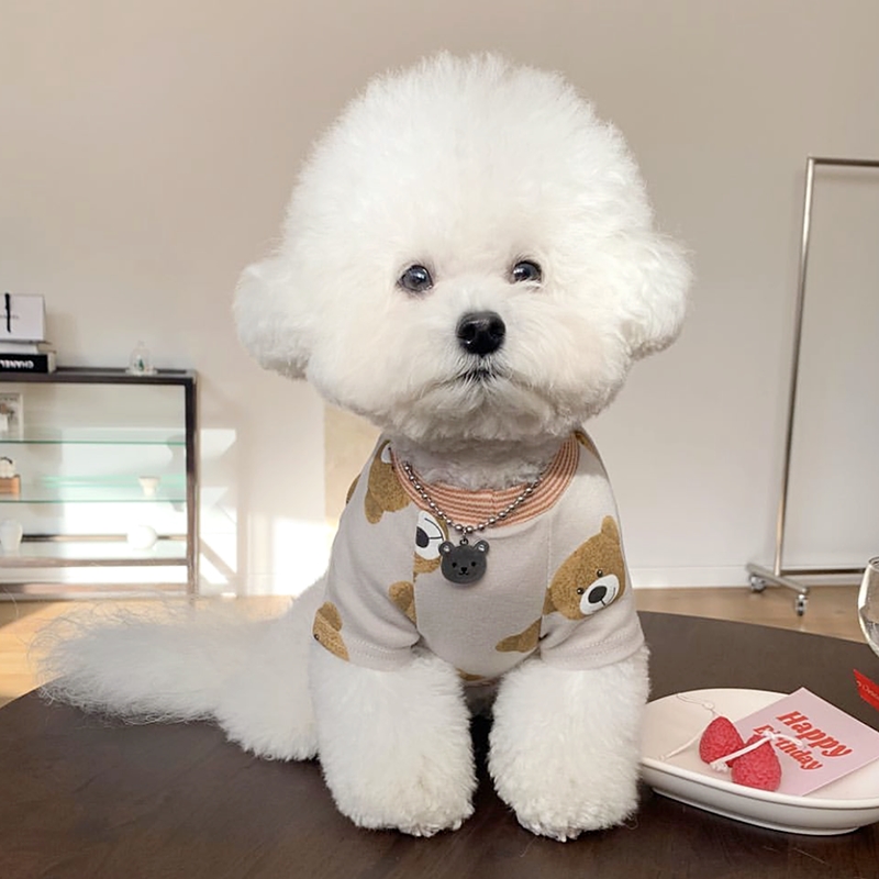All Over Printed Teddy Bear Pu – Winter Clothing For Dogs Bewertung und Preis