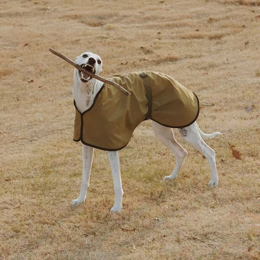 Winter Windproof Lamb Wool Ins – Winter Clothing For Dogs Bewertung und Preis