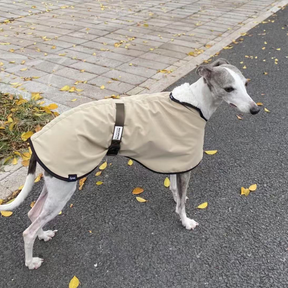 Winter Windproof Lamb Wool Ins – Winter Clothing For Dogs Bewertung und Preis
