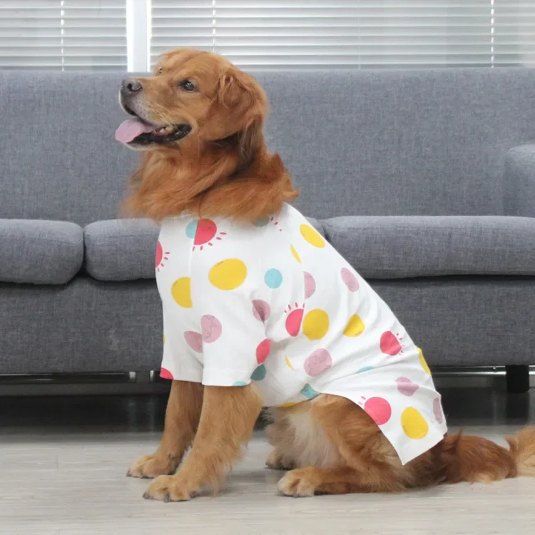 Big Dog Shirt Autumn Winter La – Winter Clothing For Dogs Bewertung und Preis