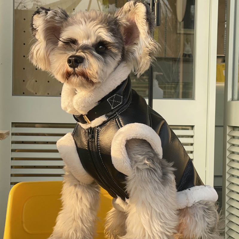 Pet Autumn Winter Velvet Sleev – Winter Clothing For Dogs Bewertung und Preis