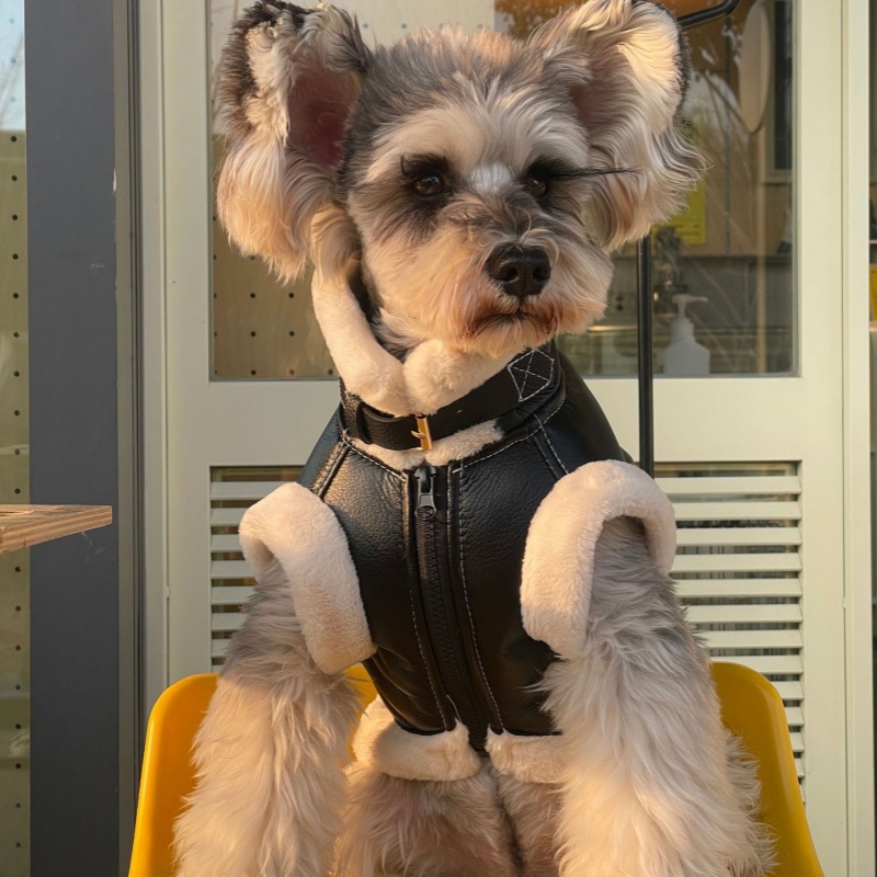 Pet Autumn Winter Velvet Sleev – Winter Clothing For Dogs Bewertung und Preis