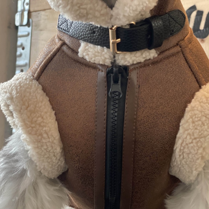 Pet Autumn Winter Velvet Sleev – Winter Clothing For Dogs Bewertung und Preis