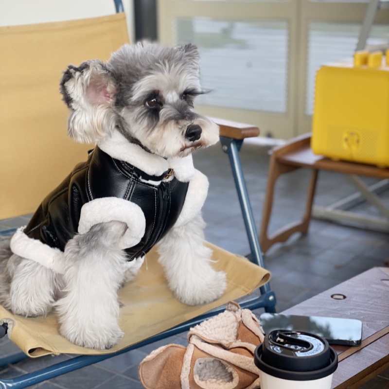 Pet Autumn Winter Velvet Sleev – Winter Clothing For Dogs Bewertung und Preis